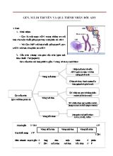Tổng hợp các lý thuyết Sinh học lớp 12